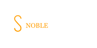 Noble Solutions Logo